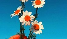 朋友圈高人气说说大全