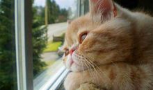 劝人回家的暖心话