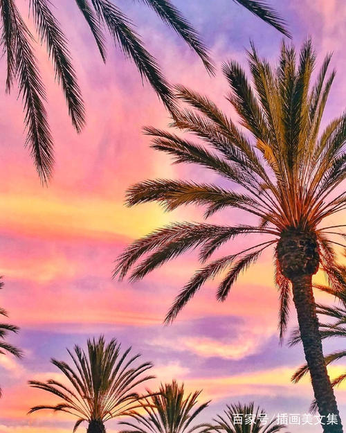 爱的句子很乐意谈谈第1份