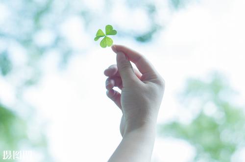 15，我幸运的是，一个人尴尬，你睁开眼睛是鲜花的世界，你会立刻沉浸在幸福中;我祝贺，九，我希望你为未来创造一个更美丽的世界！