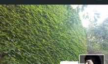 在微信朋友圈发个霸气的说说