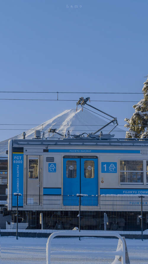 14，冬天，柳树充满了寒冷的雪，就像一条挂在树上的银色条带，尤其是壮观的。