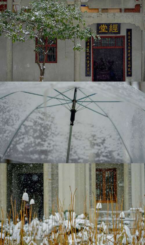 冬天美丽的短句1