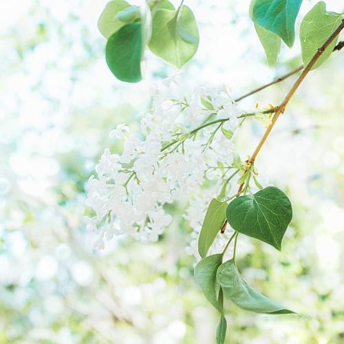 与快乐有关的句子是1句子1