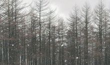 超个性的个性签名