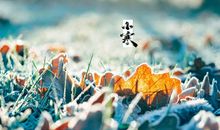 小寒节气的图片