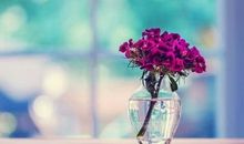 不断加深友情的句子