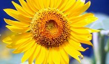 爱情说说甜蜜短句子