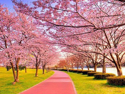 15.所有风格和耳语都在我眼中。