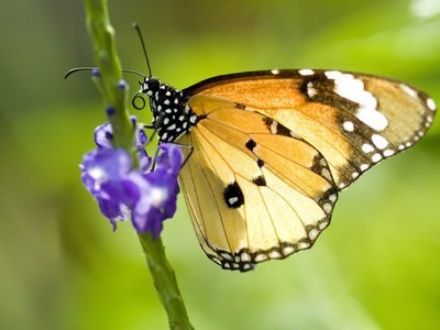 15，我想谈谈爱情，阳光忙，我会出去，去吃，一切都很好，和你一起，我不会挑选它，我会一起去看电影，好莱坞块也很好，国内垃圾恐怖电影也是正确的。
