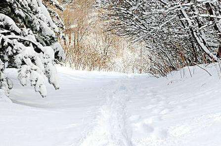 40，“等待雪，等着你胜过胜利，等待更好”
