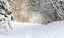 关于雪的短文案