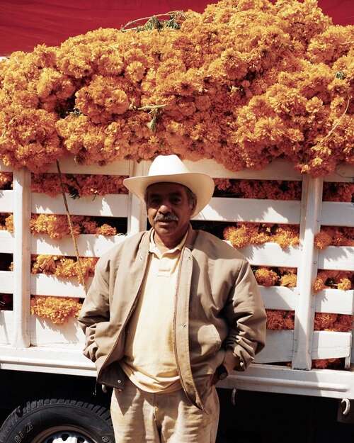 适合发夹的令人惊讶的句子