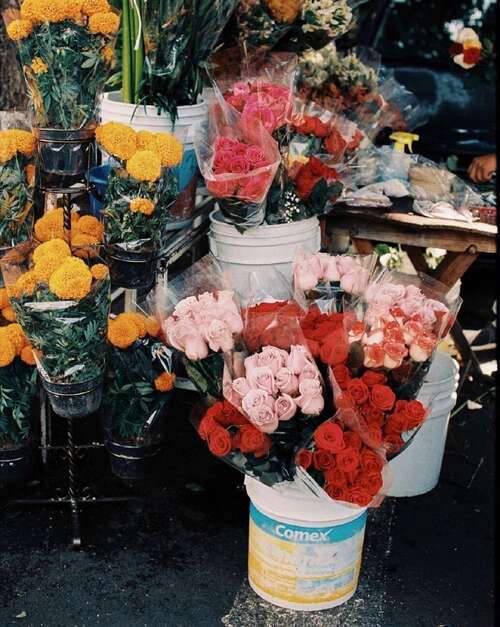 无助的悲伤句子1