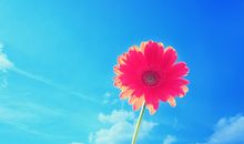 友情来之不易的句子