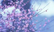 难忘的朋友情的句子