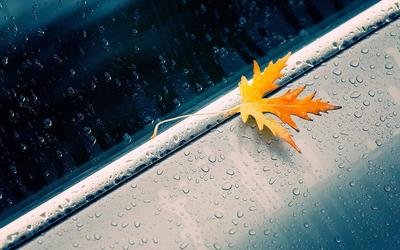 15.你不爱人，你怎么知道我的痛苦？