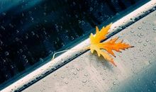 友情异想天开的句子