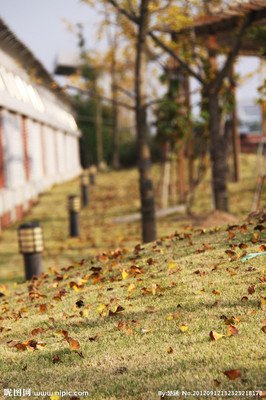 灵魂渡轮关于友情句