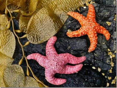 超过20年的友谊判决