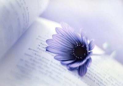 强烈句子的友好账户