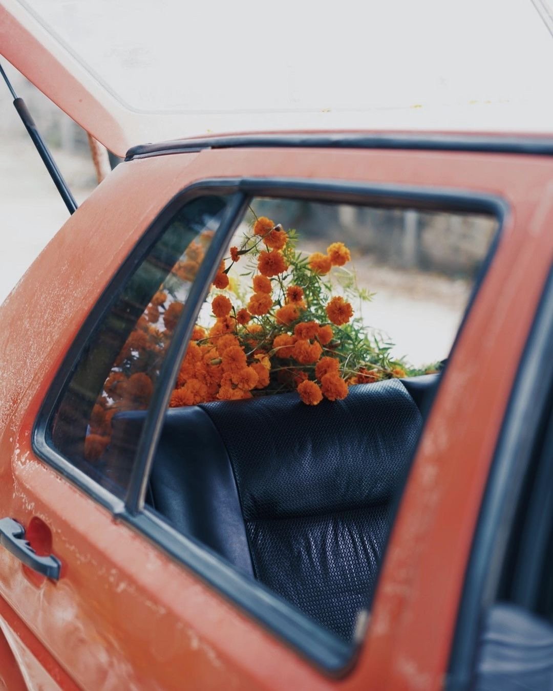 只回忆悲伤的句子1