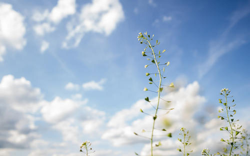 祖父说，我的生命和我的通用匹配！为了你来计算婚姻，八个字符补充，天空是一样的，和你在一起！