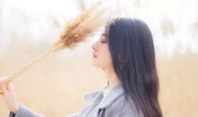 寂寞心酸暗恋的句子