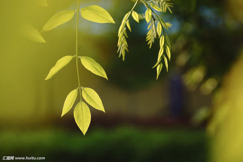 关于幸福和不快乐的句子