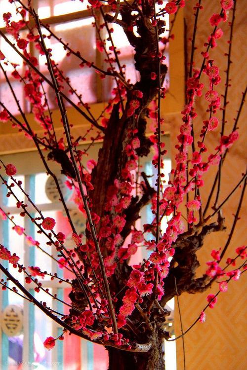 与快乐和不满相关的句子