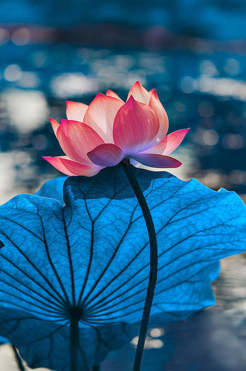 放松一个幸福的句子