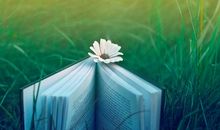 狗生的开心句子