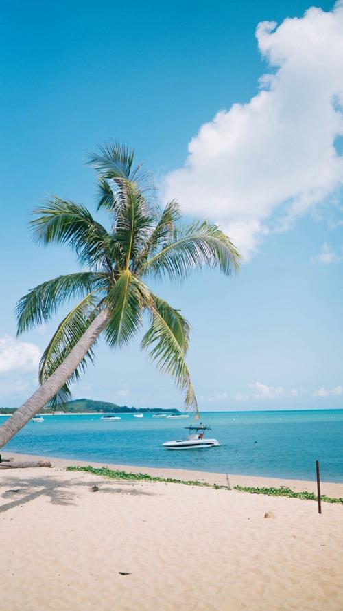 10，瑜伽大师有一种生命感，练习时间越长，你会发现每次运动都享受，所以我忘记了痛苦;一枪是“与世界亲密接触”。我很高兴。