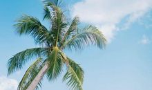 做瑜伽开心的唯美句子