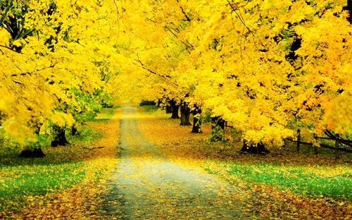 描述心脏锁的开口