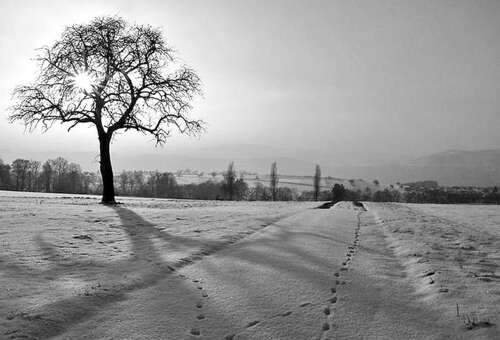 15，漫长的云中有一首诗歌，有一个微弱的诗，在快乐中有一个轻轻的问候。气候会很冷，请注意身体！