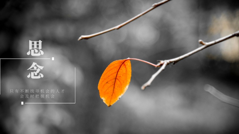 15，请不要拒绝落在你身上的每一个雪花，因为每个雪花都有我的好祝福和善良的问候。但它很冷，注意保持温暖。