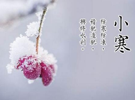 30，Laqiao 8，出去冻结。