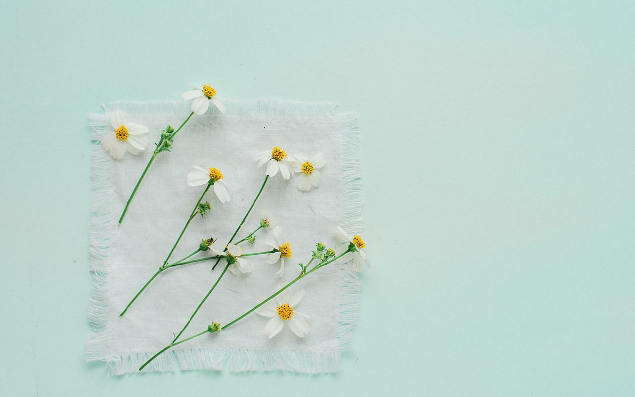 15.从前一年，它足够缓慢。它很轻。你很轻。你在近森林里笑了。