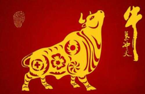 Bonni短暂的问候