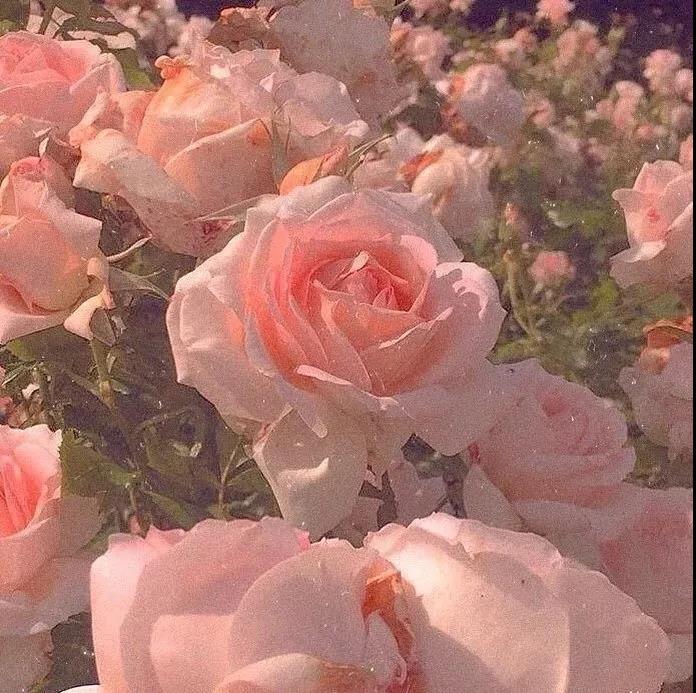 温暖的心非常爱句子1