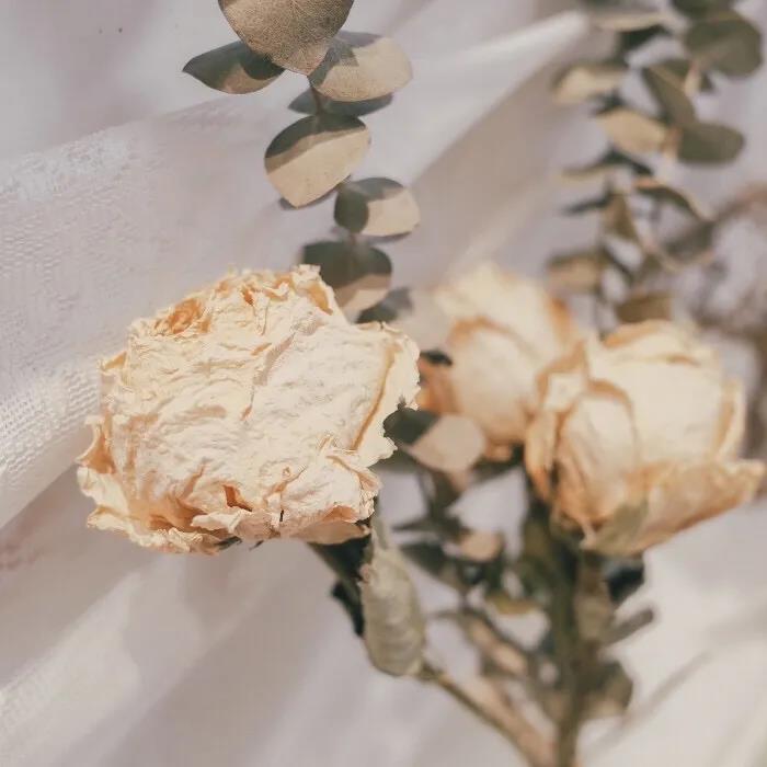 温暖的心，非常爱句子