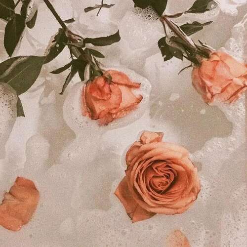 18，世界上有许多美丽的爱情诗，但最快乐的一定是这句话 - 孩子的手和老人。