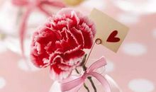 描写感恩妈妈的优美句子