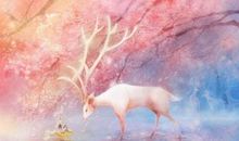 祝女朋友开心的句子