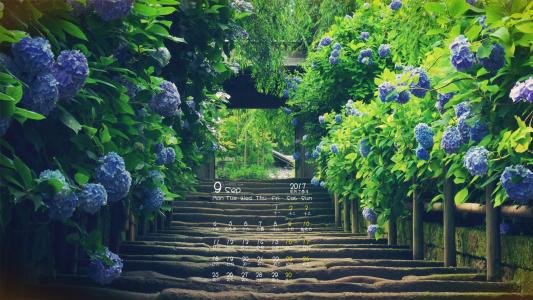 快乐，快乐，顶级句子1