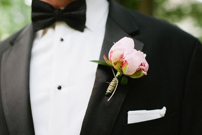 积极的能量判决经典陈述关于友谊的陈述