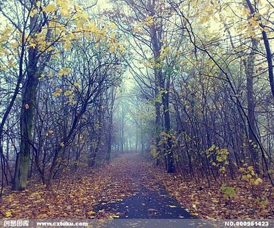 表达友谊申诉句子1