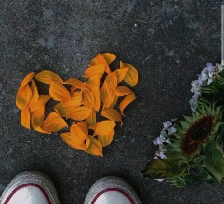 24.我不能给你多少温暖，但是有一个词可以尽我所能。