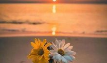 朋友圈正能量说说阳光